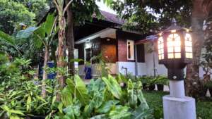 Ayurveda treatment clinic In Kannur